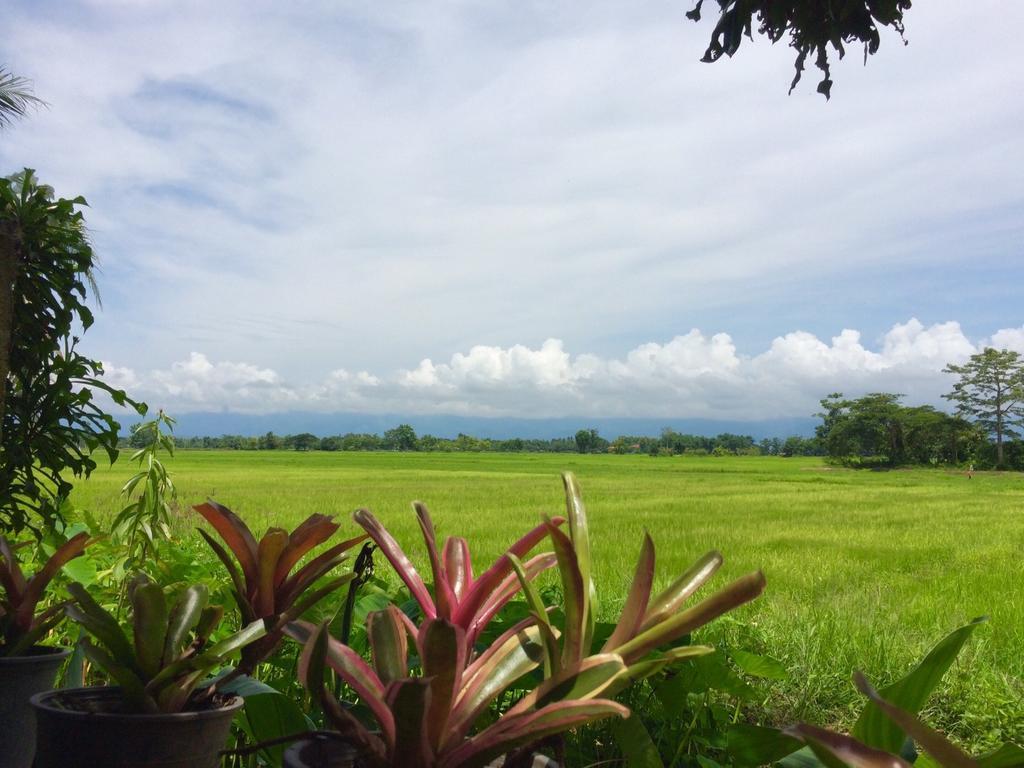 Oui Kaew Homestay Phayao Eksteriør billede